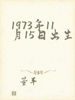 1973年11月15日出生的命运