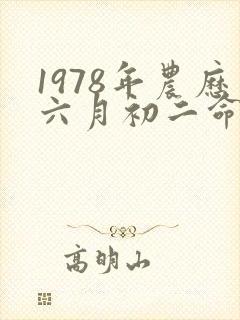 1978年农历六月初二命运