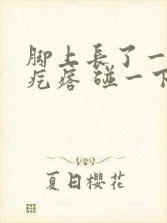 脚上长了一个硬疙瘩 碰一下会疼