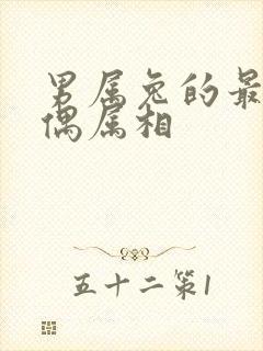 男属兔的最佳配偶属相