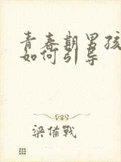 青春期男孩叛逆如何引导封面