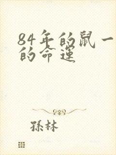 84年的鼠一生的命运