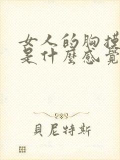 女人的胸摸起来是什么感觉