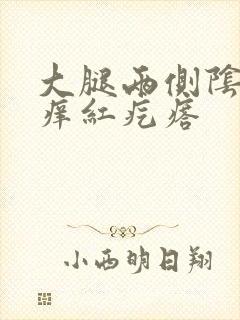 大腿两侧阴囊瘙痒红疙瘩