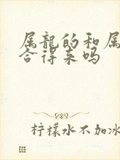 属龙的和属羊的合得来吗封面