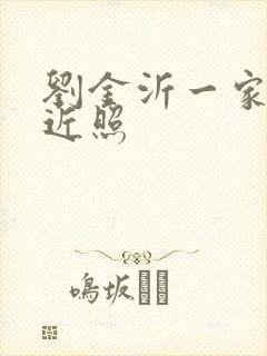 刘金沂一家三口近照