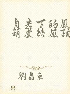 月光下的凤尾竹葫芦丝应该怎么吹奏封面