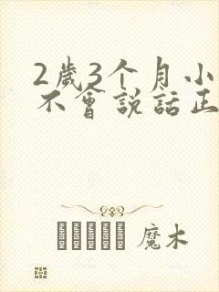 2岁3个月小孩不会说话正常吗