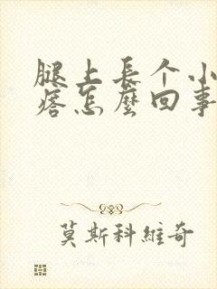 腿上长个小硬疙瘩怎么回事