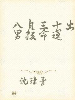 八月三十出生的男孩命运