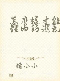 怎么样才能排出体内的湿气