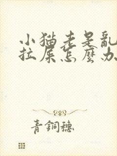 小猫老是乱拉尿拉屎怎么办