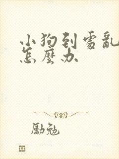 小狗到处乱拉尿怎么办