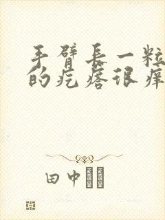 手臂长一粒一粒的疙瘩很痒怎么回事