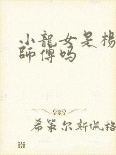 小龙女是杨过的师傅吗封面