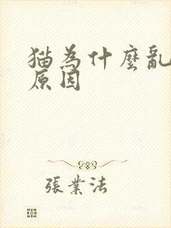 猫为什么乱尿的原因封面