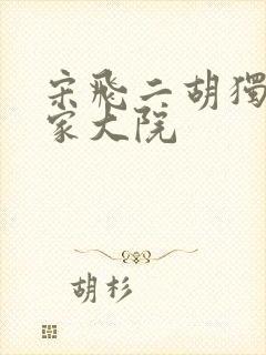 宋飞二胡独奏乔家大院