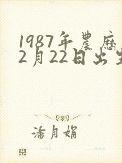 1987年农历2月22日出生的人命运