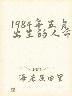 1984年五月出生的人命运