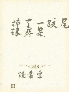 摔了一跤尾椎骨很疼是封面