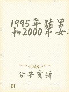 1995年猪男和2000年女龙能婚配吗