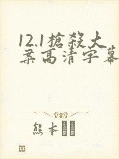 12.1枪杀大案高清字幕版封面
