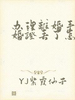 办理离婚手续结婚证丢了怎么办封面