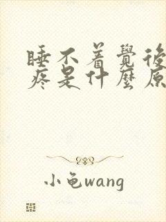 睡不着觉后脑勺疼是什么原因引起的封面