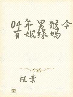 04年男猴今年有姻缘吗