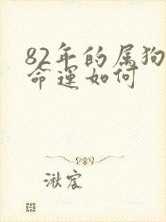 82年的属狗女命运如何