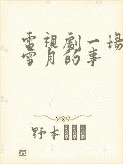 电视剧一场风花雪月的事