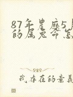 87年农历5月的属兔命怎样