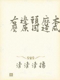 右边头麻木是什么原因造成的封面