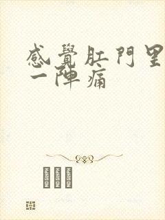 感觉肛门里一阵一阵痛