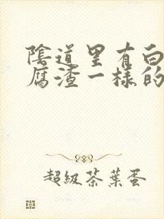 阴道里有白色豆腐渣一样的东西