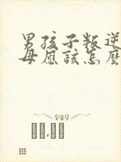 男孩子叛逆期父母应该怎么做