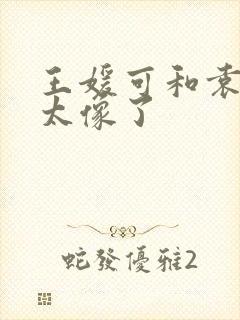 王媛可和袁姗姗太像了