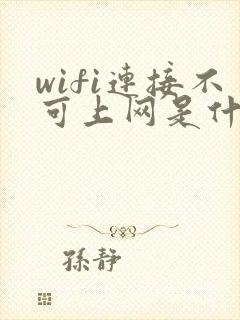wifi连接不可上网是什么原因