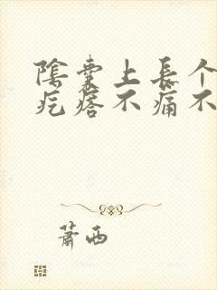 阴囊上长个个硬疙瘩不痛不痒的封面