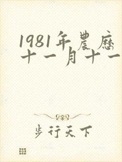 1981年农历十一月十一日出生的命运