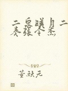 二泉映月二胡独奏张令杰