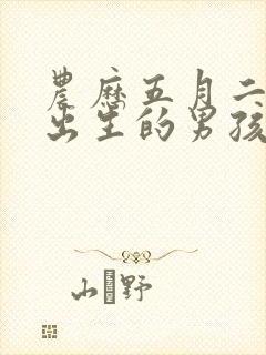 农历五月二十六出生的男孩命运好吗封面