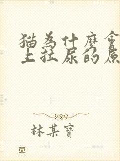 猫为什么会在床上拉尿的原因