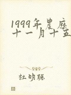 1999年农历十一月十五什么命