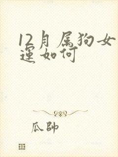 12月属狗女命运如何封面