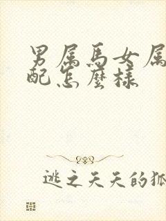 男属马女属羊婚配怎么样封面