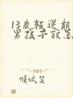 13岁叛逆期的男孩子该怎样去沟通教育封面