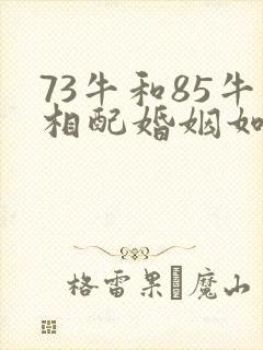 73牛和85牛相配婚姻如何