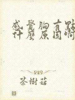 感觉胸有点痛是什么原因啊