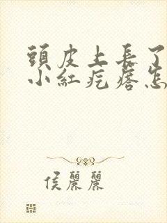 头皮上长了一个小红疙瘩怎么回事封面